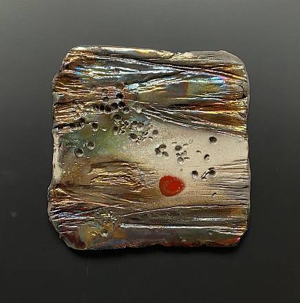 Miriam selvetti. oltre il segno